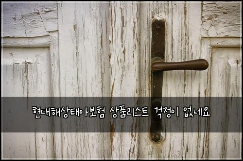 현대해상태아보험 상품리스트  걱정이 없네요