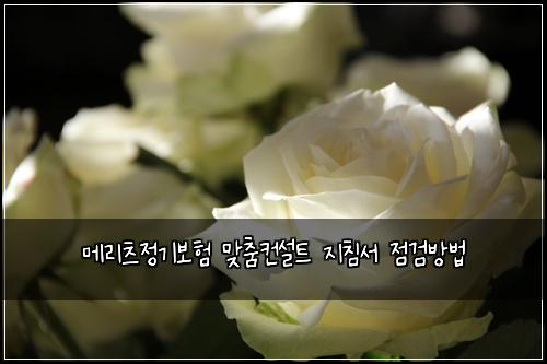 메리츠정기보험 맞춤컨설트  지침서 점검방법