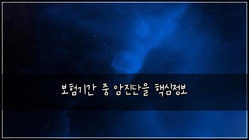 보험기간 중 암진단을 핵심정보