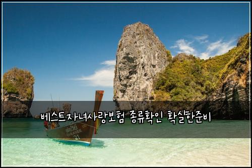 베스트자녀사랑보험 종류확인  확실한준비