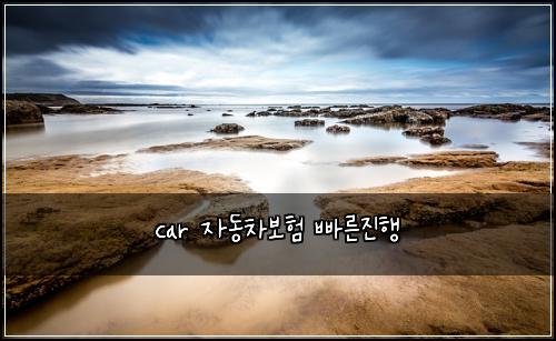 car ์๋์ฐจ๋ณดํ ๋น ๋ฅธ์งํ