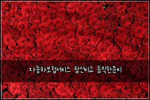 자동차보험서비스 참신비교 듬직한준비