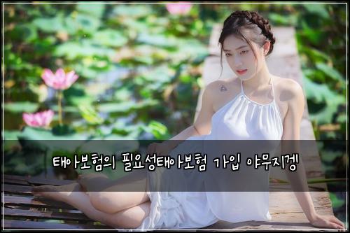 태아보험의 필요성태아보험 가입 야무지겡