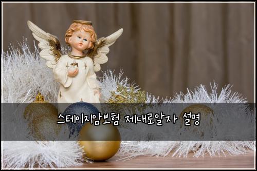 스테이지암보험 제대로알자  설명