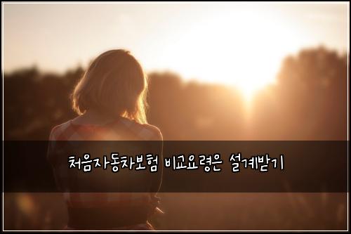 처음자동차보험 비교요령은  설계받기