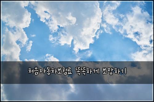 ์ฒ์์๋์ฐจ๋ณดํ๋ฃ ๋๋ํ๊ฒ ๋ณด์ฅํ๊ธฐ