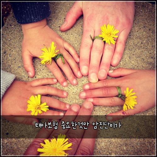 ํ์๋ณดํ ์ค์ํ๊ฒ๋ง ์์ง๋จ๋น๊ฐ