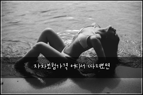 자차보험가격 어디서 따져보면