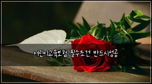 어린이교육보험 필수조건  반드시성공