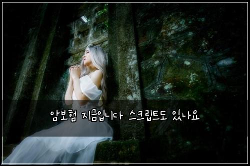 암보험 지금입니다  스크립트도 있나요
