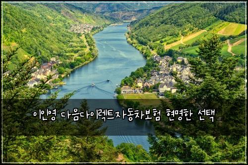 이인영 다음다이렉트자동차보험 현명한 선택