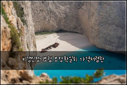 비갱신정기보험 보장확실히  가격저렴한