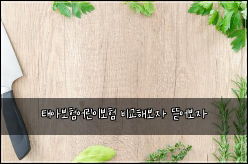ํ์๋ณดํ์ด๋ฆฐ์ด๋ณดํ ๋น๊ตํด๋ณด์ ๋ฏ์ด๋ณด์