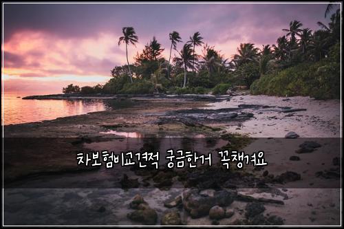 차보험비교견적 궁금한거 꼭챙겨요