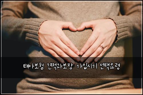 태아보험 견적과보장  가입시기 선택요령