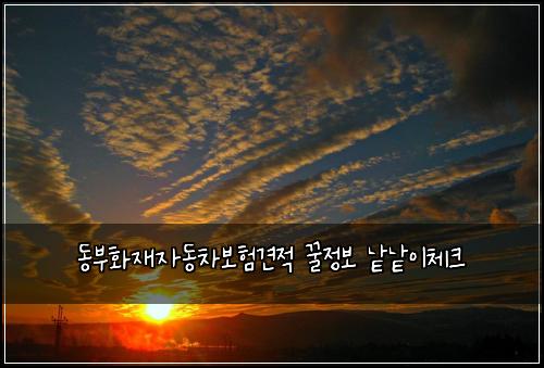 λλΆνμ¬μλ차보ν견μ κΏμ 보 λ±λ±μ΄μ²΄ν¬