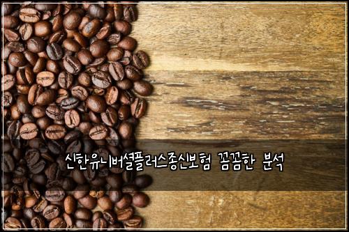 신한유니버셜플러스종신보험 꼼꼼한 분석