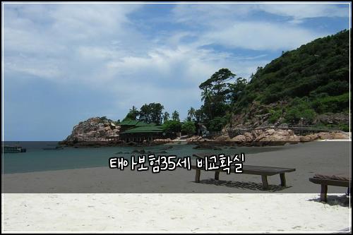 태아보험35세 비교확실