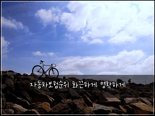 자동차보험순위 화끈하게 명확하게