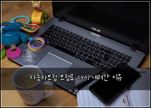 자동차보험 보험료 다시 내려간 이유