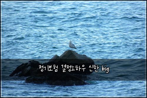 정기보험 결정노하우  신한 big