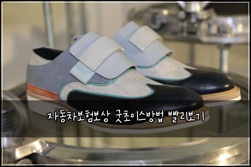 자동차보험보상 굿초이스방법 빨리보기