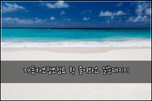 자동차보험보험료 확 줄여봐요 실속패키지