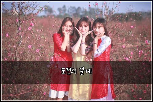 도전의 설계