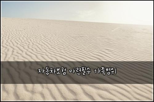 자동차보험 마련필수  가족범위