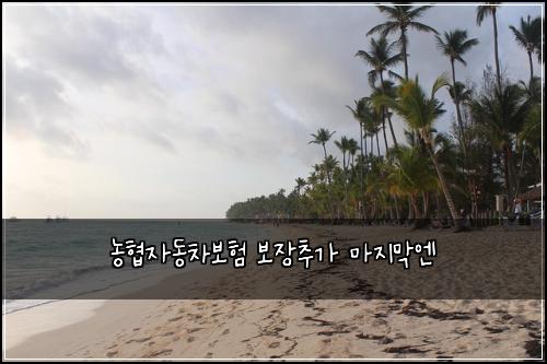 농협자동차보험 보장추가  마지막엔