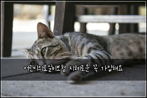 어린이의료실비보험 지혜로운  꼭 가입해요