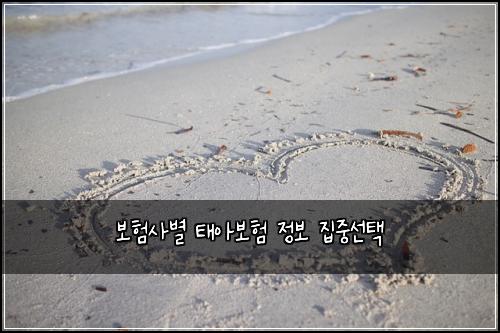 보험사별 태아보험 정보 집중선택