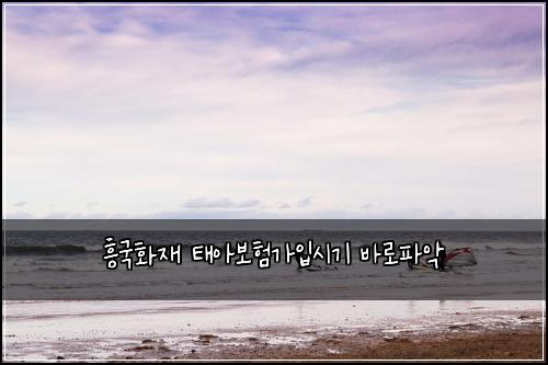 흥국화재 태아보험가입시기 바로파악