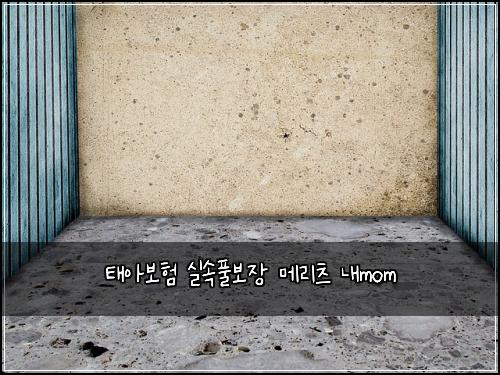 νμ보ν μ€μν보μ₯ λ©λ¦¬μΈ λ΄mom