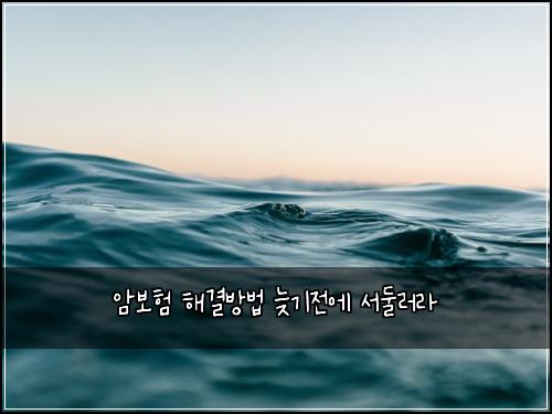 암보험 해결방법  늦기전에 서둘러라