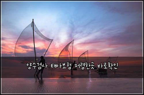 양수검사 태아보험 저렴한곳  바로확인