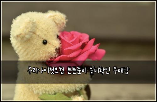 우리아이첫보험 튼튼준비  실비확인 무배당
