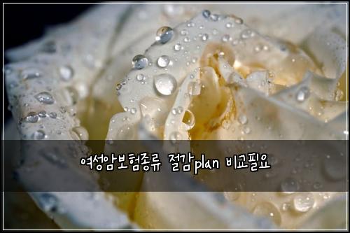 여성암보험종류 절감plan 비교필요