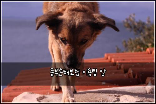 ๋๋ถ์ํด๋ณดํ ์ด์ฉํ ์