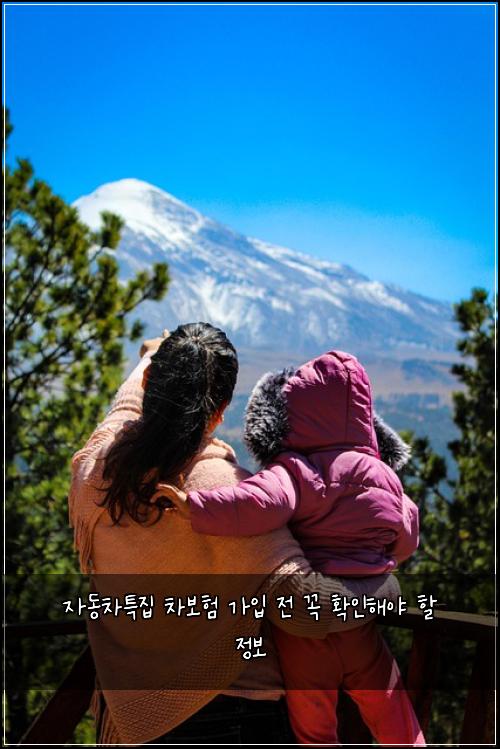 자동차특집 차보험 가입 전 꼭 확인해야 할 정보