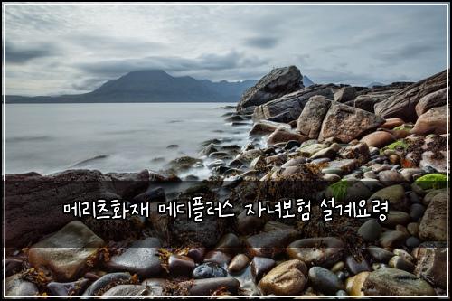 ๋ฉ๋ฆฌ์ธ ํ์ฌ ๋ฉ๋ํ๋ฌ์ค ์๋
๋ณดํ ์ค๊ณ์๋ น