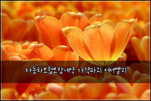 ์๋์ฐจ๋ณดํ๋ณด์ฅ๋ด์ญ ๊ฐ๊ฒฉํ๊ดด ์ด์๋นจ๋ฆฌ