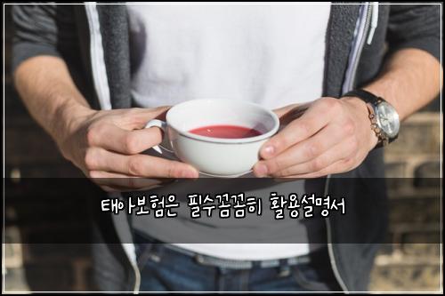 태아보험은 필수꼼꼼히 활용설명서
