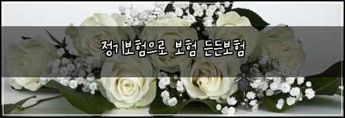 정기보험으로 보험 든든보험