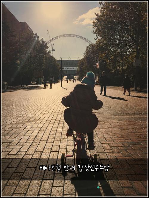 태아보험 안내  갑상선유두암