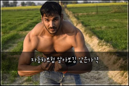 ์๋์ฐจ๋ณดํ ์์๋ณด๊น
๋ฎ์๊ฐ๊ฒฉ