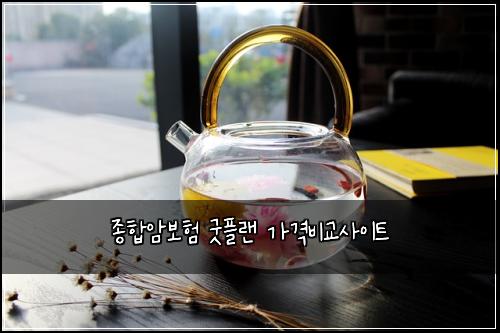 종합암보험 굿플랜  가격비교사이트