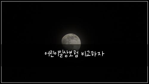 어린이일상보험 비교하자 