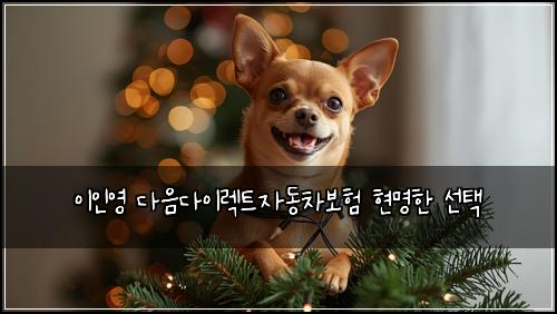 이인영 다음다이렉트자동차보험 현명한 선택