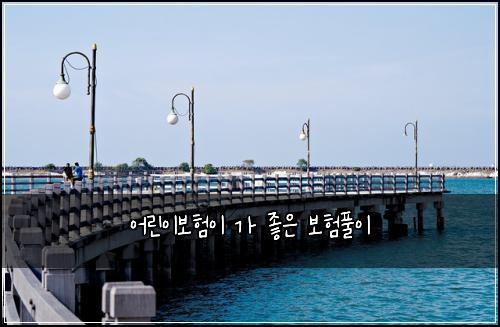 어린이보험이 가 좋은 보험풀이